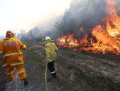 رجال الإطفاء يحاولون السيطرة على حرائق الغابات فى انجورى الأسترالية