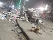 قارئ يشكو من انتشار القمامة بشارع ترعة السواحل الوراق محافظة الجيزة
