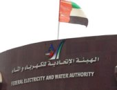 الإمارات تنهى مشاريع بقطاع الكهرباء والمياه بـ 1.5 مليار درهم