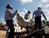 الأمم المتحدة: 90% من البنى التحتية تعرضت للتلف فى جزيرة أباكو بالبهاما