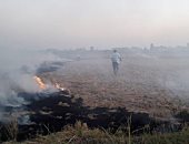 صور .. تحرير أول محضر لحرق قش الأرز بكفر الشيخ