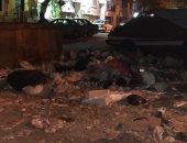 قارئ يشكو من انتشار القمامة بأحد شوارع الدقى