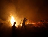 رجال الإطفاء تكافح حرائق الغابات فى إندونيسيا
