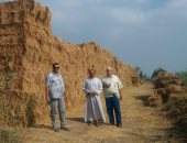 البيئة تعلن جمع 518 ألف طن من قش الأرز وتلقى 212 بلاغا