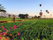 صورة اليوم.. البالون الطائر يحلق فوق الخضرة والجبال والمعابد الفرعونية
