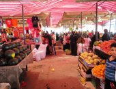 محافظ سوهاج: تنفيذ 13 ألف مشروعاً للشباب بتكلفة مليار و 361 مليون جنيها