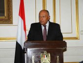 سامح شكرى: مصر ترحب بإعلان تشكيل اللجنة الدستورية السورية 