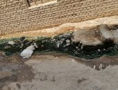 أهالى مدينة الحوامدية بالجيزة يشكون من انتشار مياه المجارى فى شارع التحرير