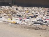 شكوى من تحول أرض فضاء بجوار جامعة المنيا لمقلب قمامة ومأوى للكلاب الضالة