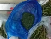 ضبط راكب بمطار القاهرة حاول تهريب كمية من نبات "القات" المخدر 