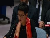 الأمم المتحدة تطالب بتطبيق هدنة فورية فى إدلب السورية