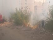 ‎ السيطرة على حريق بكميات من البوص والمخلفات فى كفر الجزار ببنها