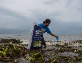 صور.. نشطاء البيئة يجمعون البلاستيك من شواطئ العالم 