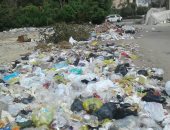 أهالى الحى السويسرى بمدينة نصر يشكون تراكم القمامة