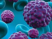 تطوير بكتيريا مبرمجة قادرة على تدمير الخلايا السرطانية.. اعرف كيفية عملها