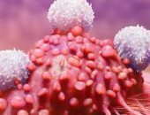 علاج جديد يستخدم فيروسات الأمراض المنقولة جنسيا لمهاجمة الأورام السرطانية