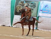  10 معلومات عن مهرجان الشرقية للخيول العربية الأصيلة فى دورته 24 بأرض الفروسية