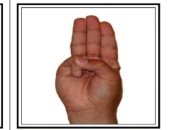 لغة الإشارة.. تعلم الحروف الأبجدية للتواصل مع الصم والبكم..  صور