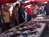ضبط أسماك غير صالحة للاستهلاك وإيقاف 4 حالات بناء مخالف بالإسكندرية ..صور
