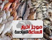 موجز 6.. التموين تطرح الأسماك الطازجة والمجمدة بأسعار مخفضة تصل لـ40%