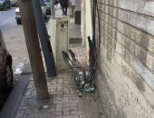 شكوى من وجود كابلات كهرباء مكشوفة بمنطقة فلمنج بالإسكندرية