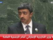 وزير خارجية الإمارات:لن نتخلى عن حقنا فى فرض السيادة على الجزر التى احتلتها إيران