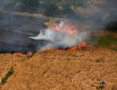 صور.. اتساع رقعة حرائق الغابات فى إندونيسيا.. والنيران تلتهم مئات الأفدنة