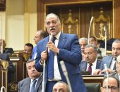 رئيس "تضامن النواب": مظاهرات المصريين ترفض تصفية القضية الفلسطينية وتدعم السيسى