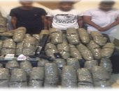 ضبط 200 كيلو بانجو قبل ترويجها على المواطنين فى الشرقية