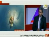 متخصص بالشآن التركى: المجتمع الدولى يتغاضى عن ملف حقوق الإنسان فى تركيا