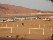رئيس مدينة شرم الشيخ: سباقات الهجن يقدم جوائزه المالية من الاتحاد الإماراتى