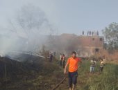 حريق هائل فى 5 منازل ونفوق 4 عجول بقرية منقريش ببنى سويف