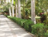  "الحديقة النباتية" أبرز المقاصد السياحية فى أسوان