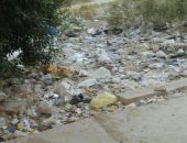 أهالى التجمع الأول يشكون انتشار القمامة بالشوارع