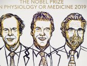 أمريكيان وبريطانى يفوزون بجائزة نوبل للطب لعام 2019