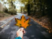 7 نصائح لو ناوى تسافر فى الخريف.. ابعد عن الغابات واستمتع بجو الريف