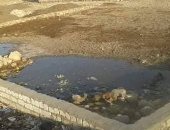 صور.. قارئ يشكو انتشار المياه الجوفية بمدينة إسنا بمحافظة الأقصر