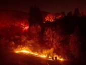 تحذيرات: موسم حرائق الغابات فى كاليفورنيا سيكون أطول وأكثر تدميراً 
