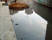 صور.. شكاوى من انتشار مياه الصرف الصحى بالعزب البيضاء بالمرج الجديدة 