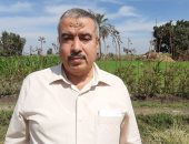مدير عام الإرشاد الزراعى بالشرقية: تحرير 100 محضر حرق قش الأرز
