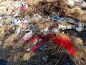 قارئ يشكو من انتشار القمامة بعزبة أبو بسيونى بالمحلة الكبرى