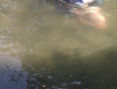 انتشال جثة مواطن مجهول الهوية فى العقد الرابع بالقناطر الخيرية