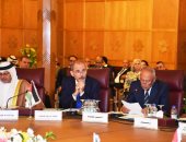 الدول العربية تقرر النظر فى خفض العلاقات مع تركيا بسبب عدوانها على سوريا