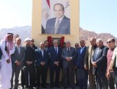 صور.. محافظ جنوب سيناء يكرم الفائزين بسباق الهجن بكاترين