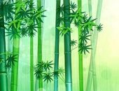 البامبو نبات للحظ.. كيف استخدمته الحضارة الصينية فى العلاج؟ 