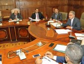 التنمية المحلية: 248 ألف توك توك مرخص بالمحافظات وننسق لاستبداله بالمينى فان