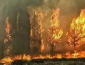 لبنان يحترق.. ذعر بين اللبنانيين بسبب حرائق الغابات وطوارئ للسيطرة عليها