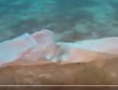 شاهد.. حطام زورق المهاجرين الغارق قبالة لامبيدوزا فى البحر المتوسط