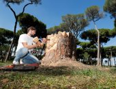 شاب إيطالى يحول جذوع الأشجار الميتة فى روما إلى منحوتات فنية 