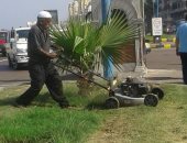 صور.. رفع كفاءة الحدائق العامة وإزالة إشغالات الطريق وسط الإسكندرية